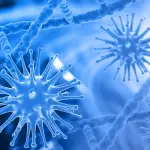 Dispositivi di protezione antivirus e novità