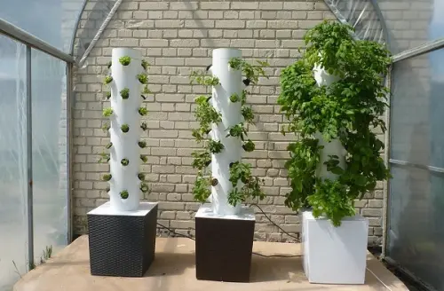 Coltivazione aeroponica, scopriamo in cosa consiste questa tecnica