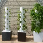 Coltivazione aeroponica, scopriamo in cosa consiste questa tecnica